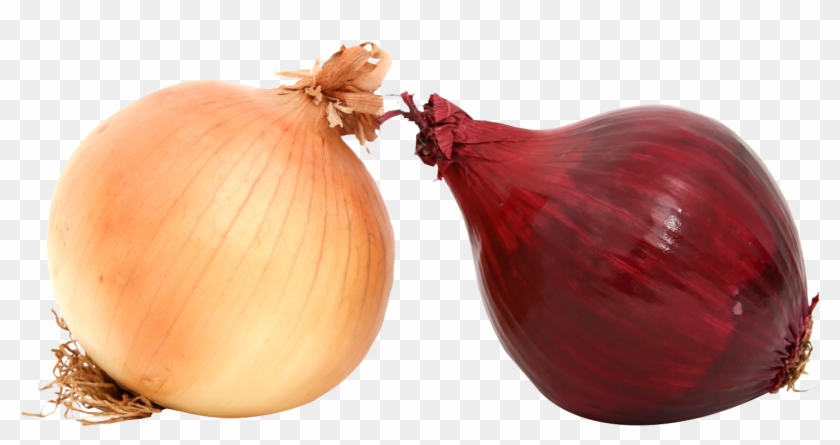 Fresh Onions Png Image - Onions Png Clipart #320567