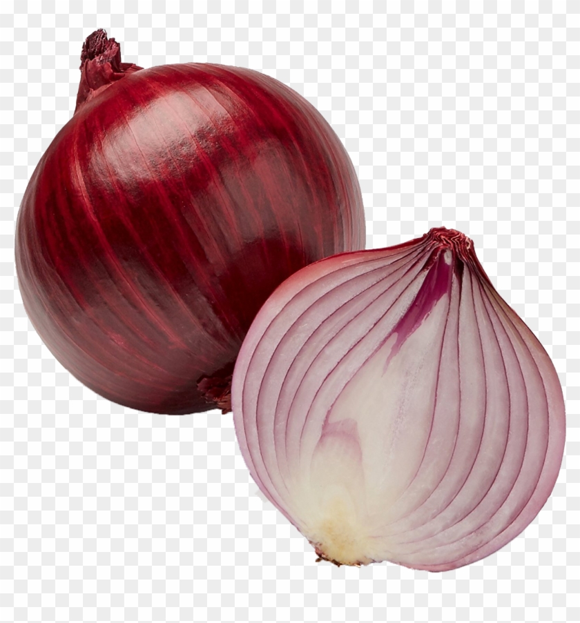 Red Onion Clipart