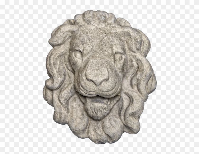 Lion Head 3 Gray Color Smooth Texture Web Version - Masai Lion Clipart