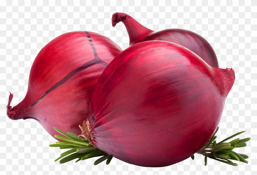 Onion Png Image - Onion Export Banners Clipart