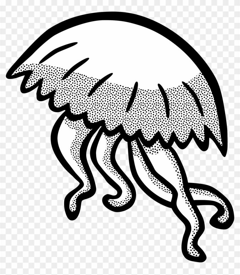 Jpg Transparent Jellyfish Clipart Colourful - Jellyfish Clipart Black And White - Png Download