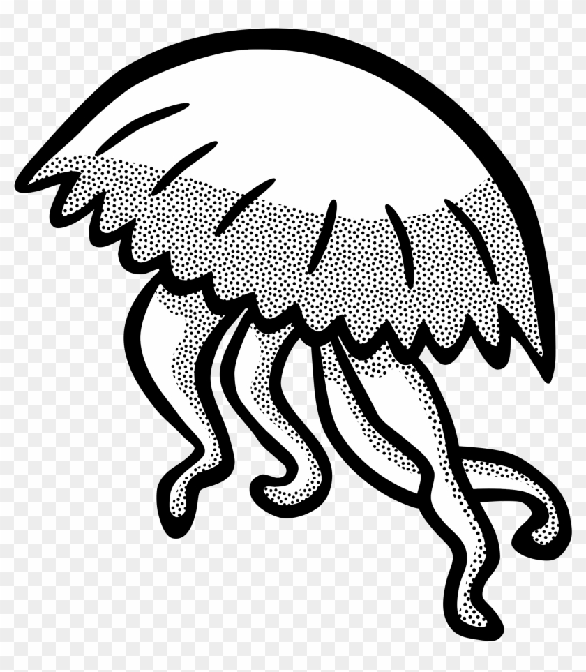 Jpg Transparent Jellyfish Clipart Colourful - Jellyfish Clipart Black And White - Png Download #320827