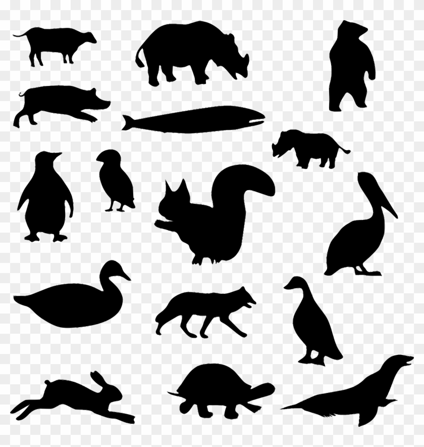 Animal Silhouettes - Animals Black And White Png Clipart #320829