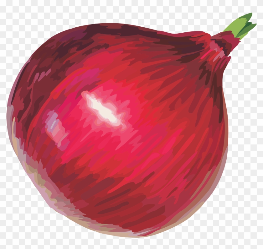 Red Onion Png Image - Onion Png Clipart #320891