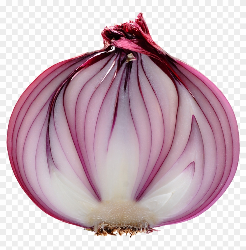 Free Icons Png - Purple Onion Png Clipart