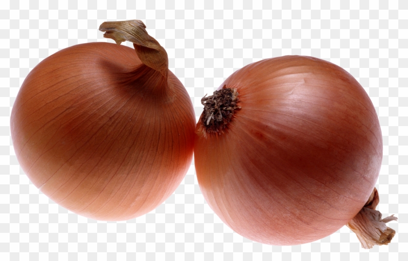 Onion Png Image - Onion Images Download Clipart #320964