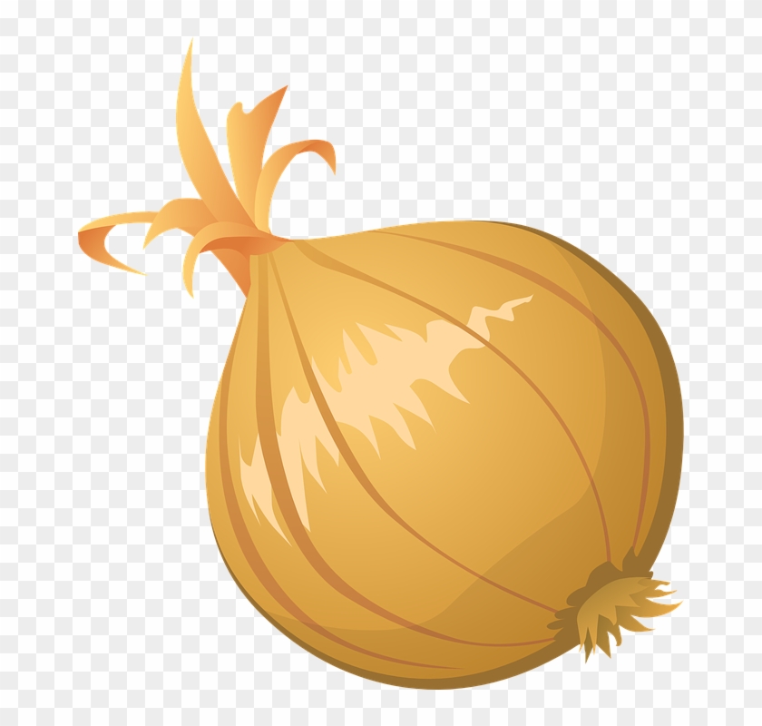 Onion Vector Png Clipart - Onion Clipart Transparent Png #320994