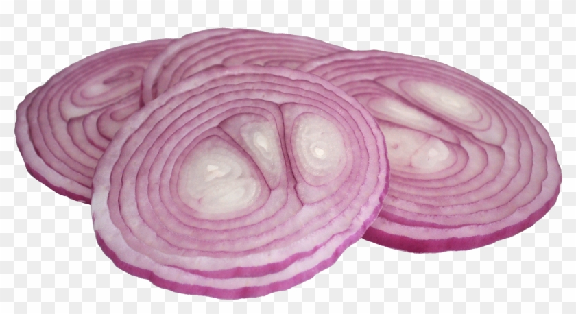 Onion Png - Red Onion Clipart #321101