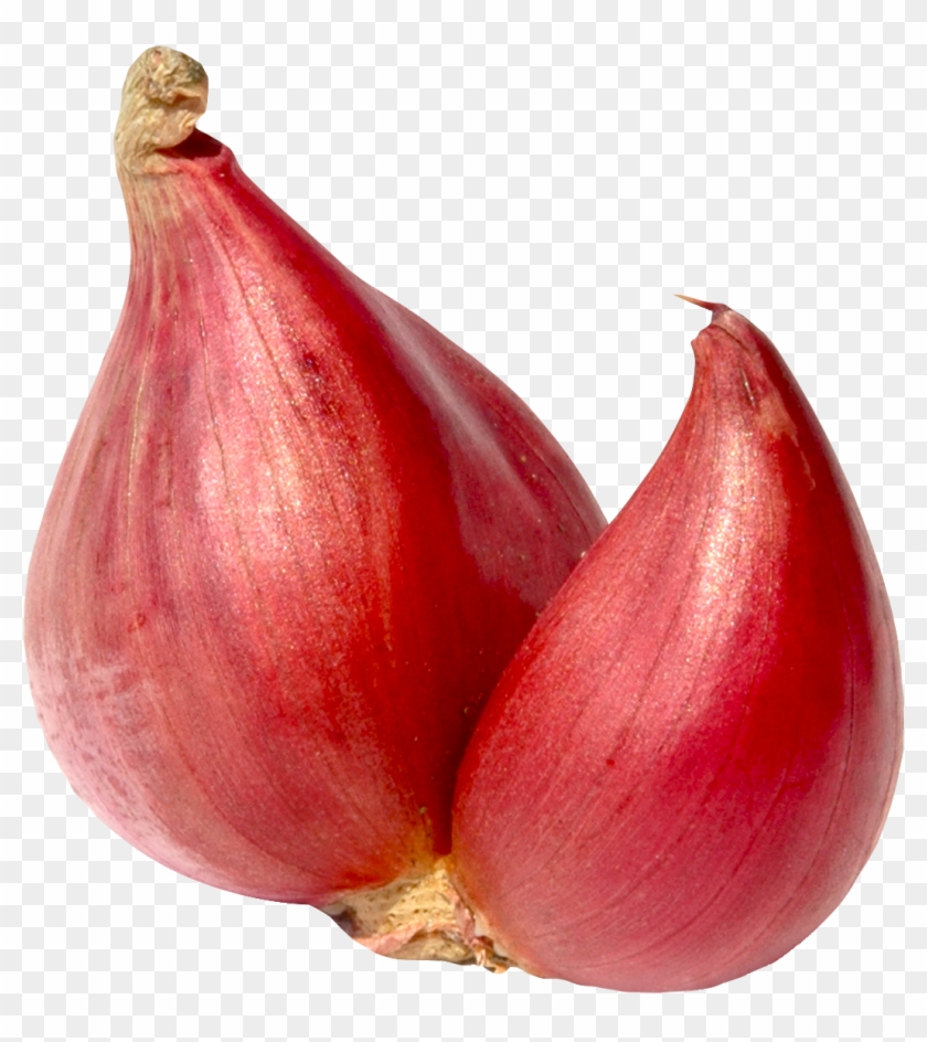 1124 X 1192 - Shallot Onion Png Clipart #321333
