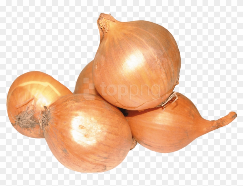 Onion Png Image2 - Onion Clipart #321553