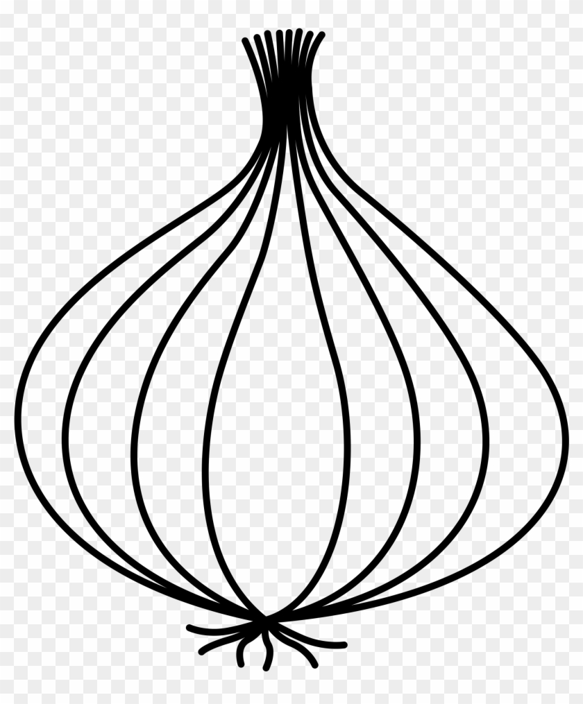 Clip Library Drawn Onion Line Drawing - Drawing Picture Of Onion - Png Download