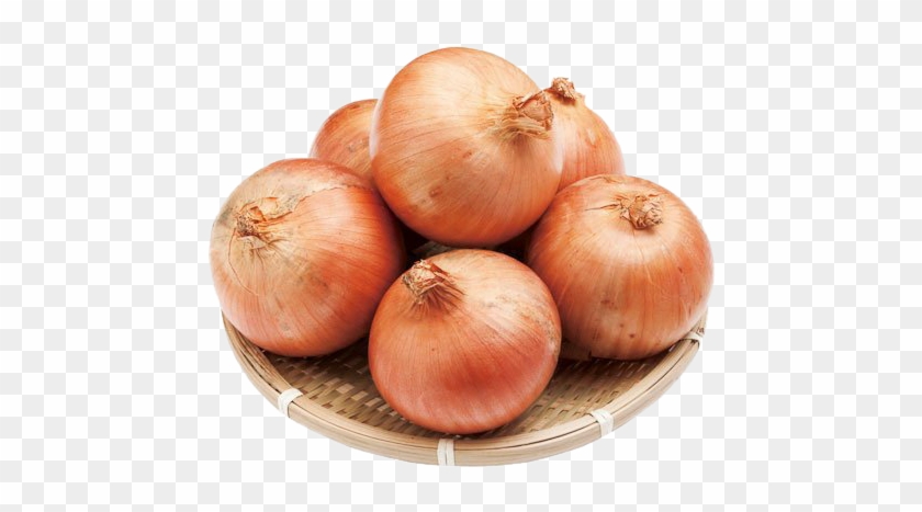 Onion Png Download Image - Yellow Onion Clipart