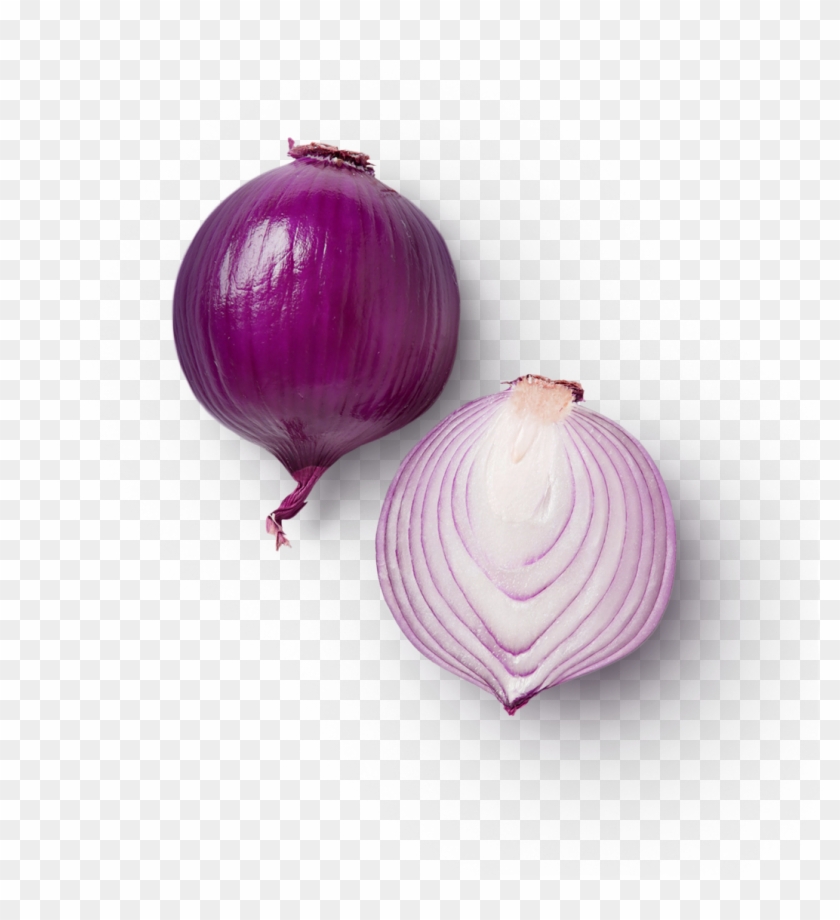 Info@beechersfoundation - Org - Red Onion Clipart #321925