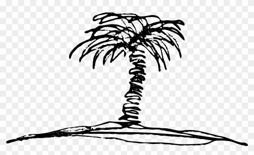 Palm Tree Clipart Black And White - Palm Tree Sketch Vector - Png Download