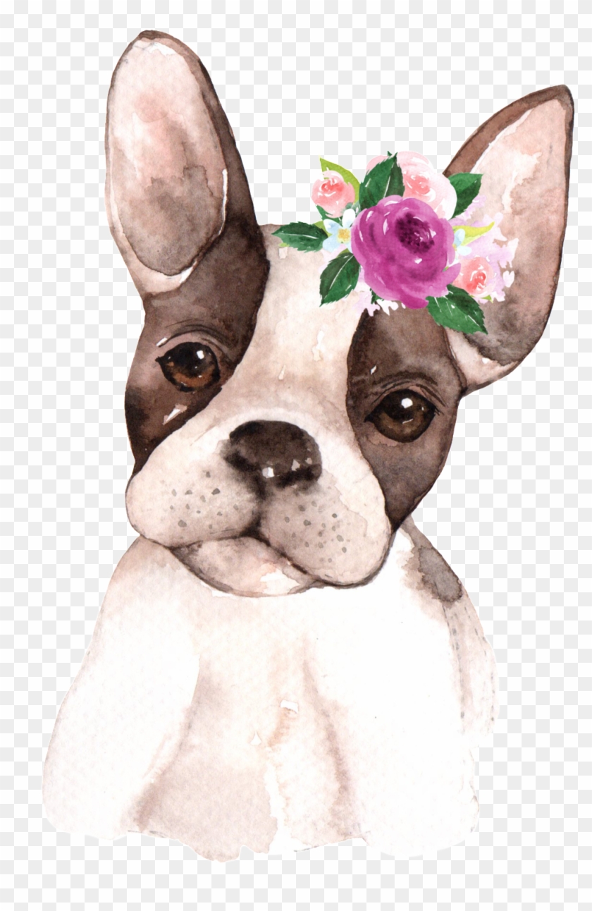Hand Painted Starling Pet Dog Png Transparent Clipart #322042