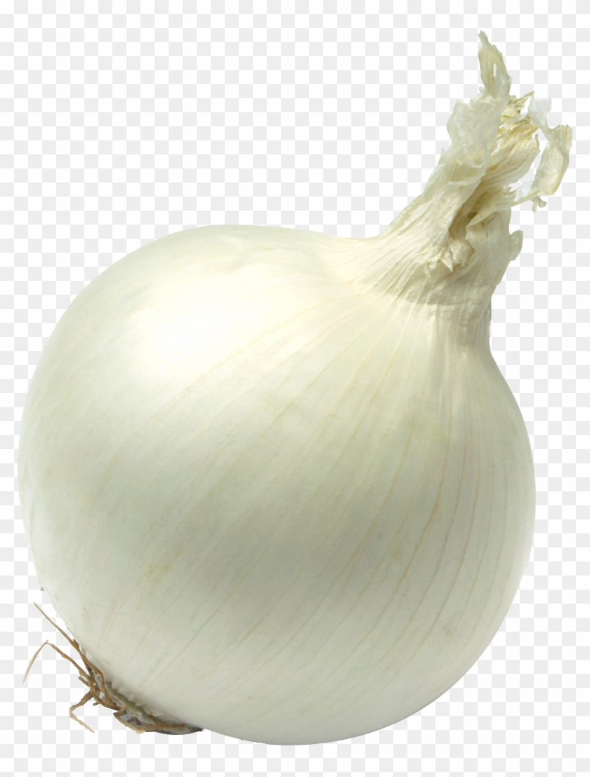 Single Onion Png Free Download - Yellow Onion Clipart