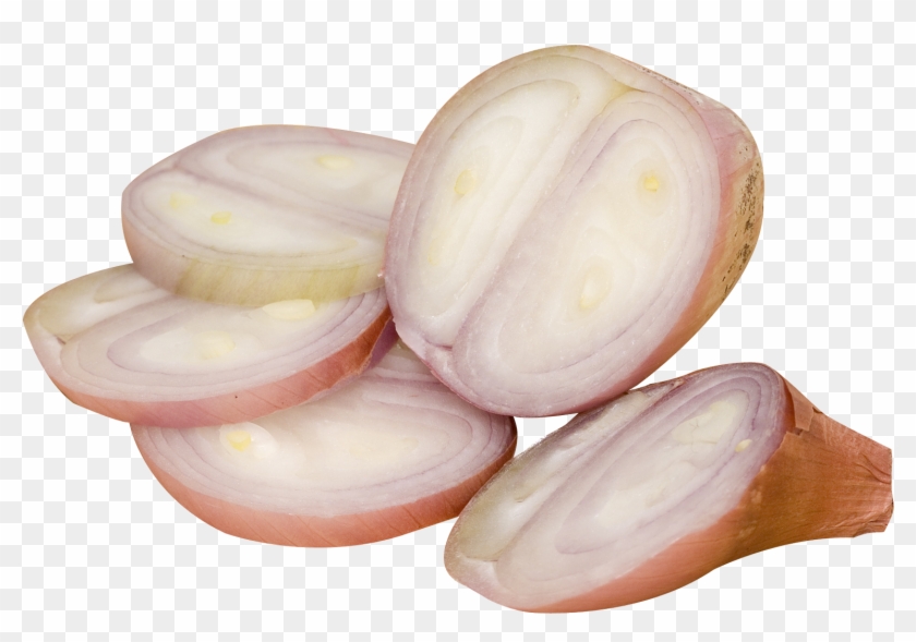 Sliced Onion Png Picture - Shallot Clipart #322403