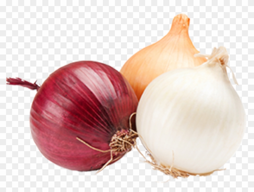 Onions - Onions And Garlic Png Clipart #322623