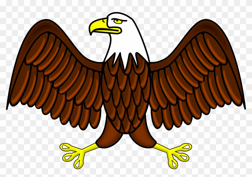 Bald Eagle Eagle Clipart Free Graphics Of Eagles - Eagle Clipart - Png Download #325258