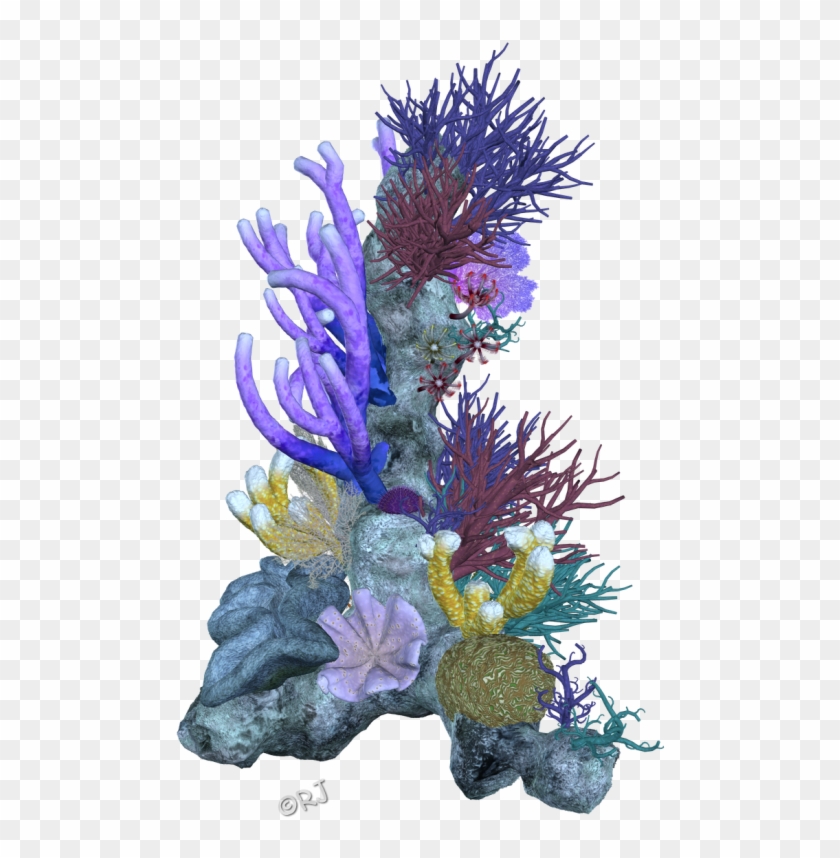 Pin Coral Reef Clipart Png Transparent Png #325681