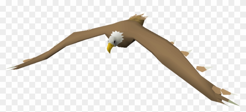 Bald Eagle Clipart #325743