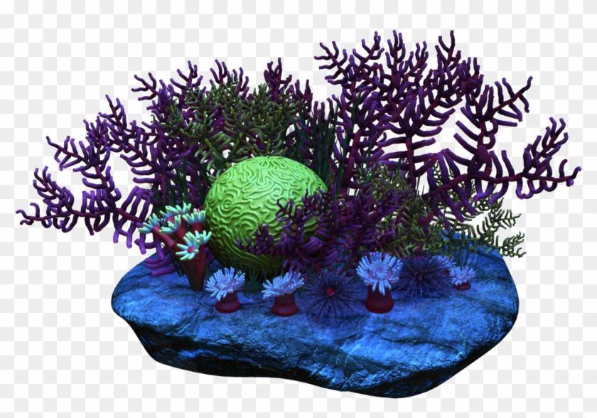 Free Download Transparent Coral Png Clipart Coral Reef - Clip Art