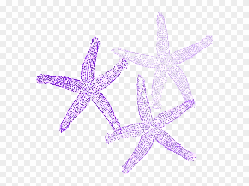 Small - Clip Art Coral Starfish - Png Download #326211