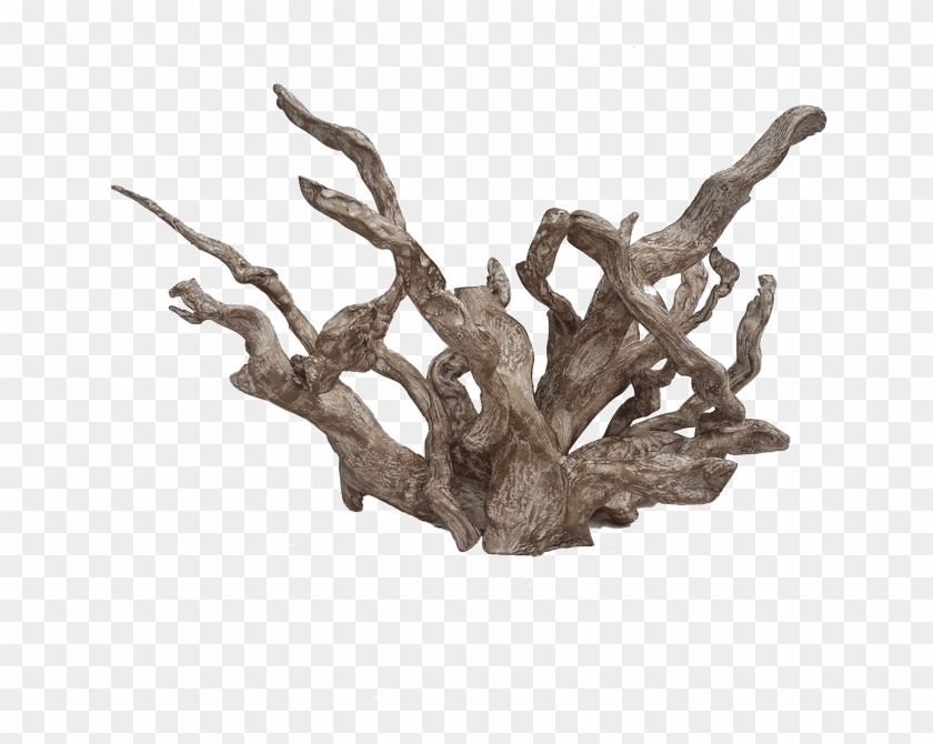 Coral - Driftwood Art Png Clipart #326319