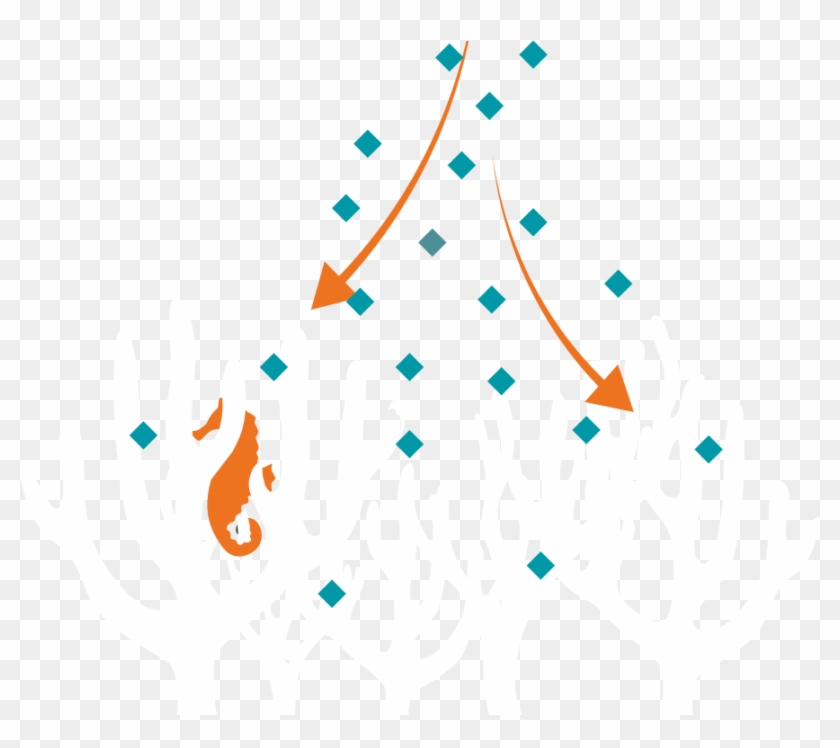 Ag-coral - Graphic Design Clipart