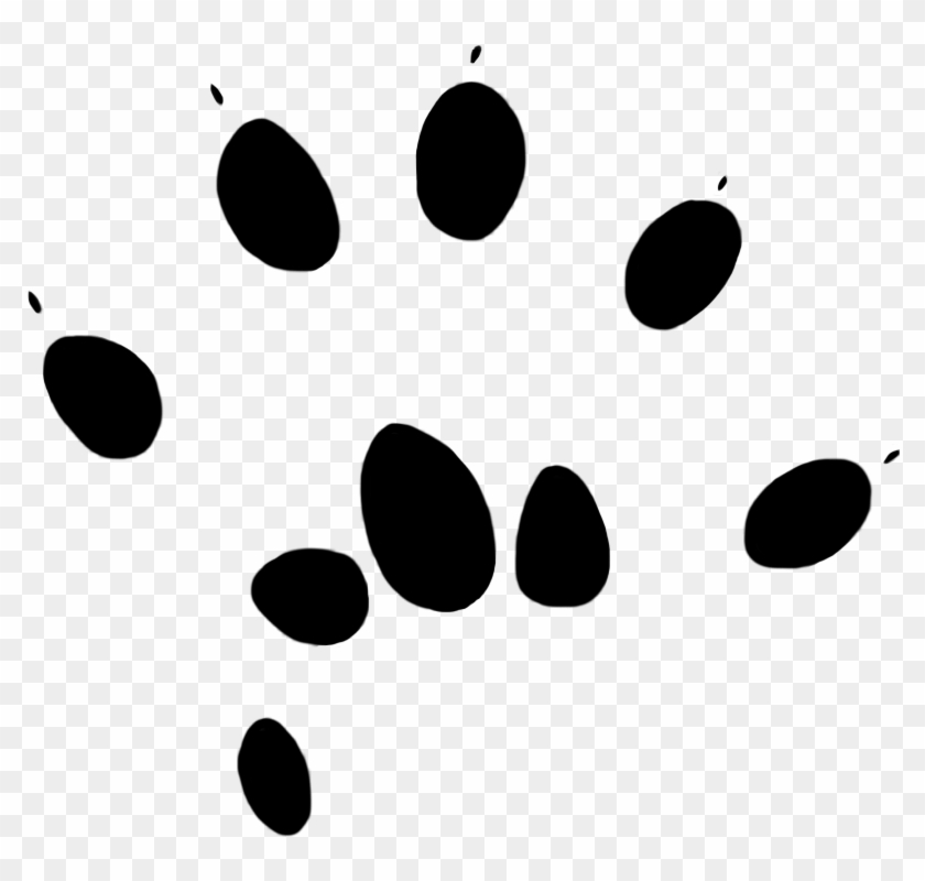 Paw Prints Clipart - Mouse Deer Paw Print - Png Download #326640