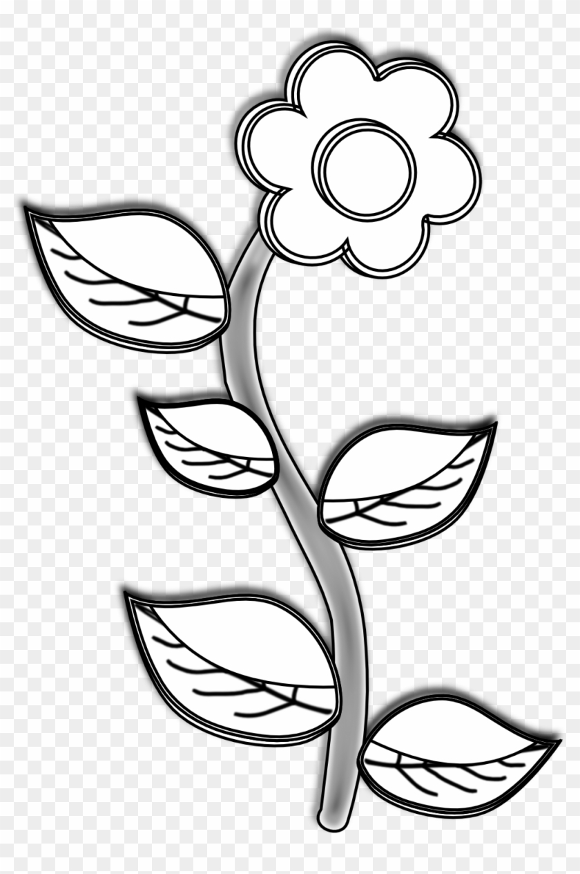Image Library Stock Panda Free Images - Plant Clip Art Black And White - Png Download #326742