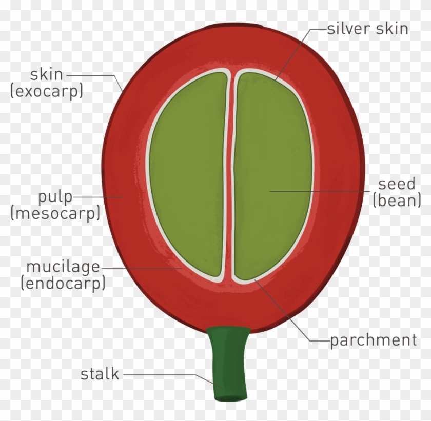 Fresh Cup Magazine - Rambu Dilarang Masuk Clipart #327409