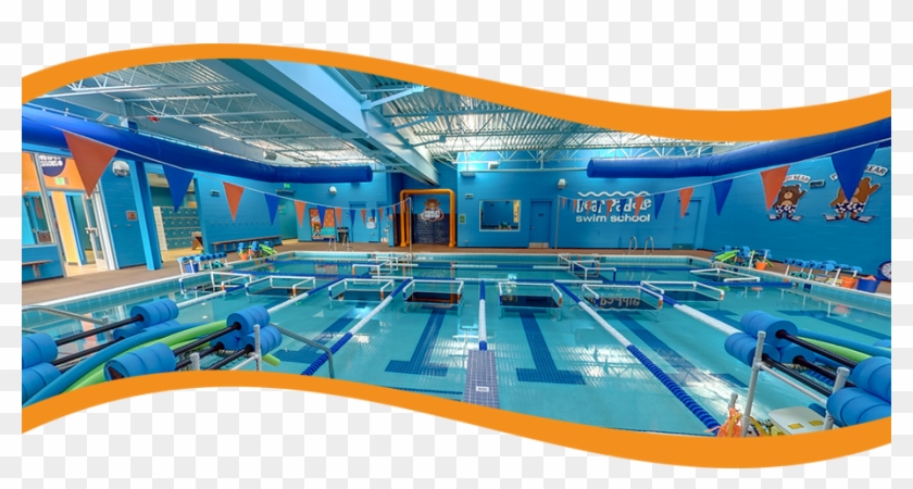 Bear Paddle Swim School Is A Month To Month Year Round - Bear Paddle Marlton Nj Clipart