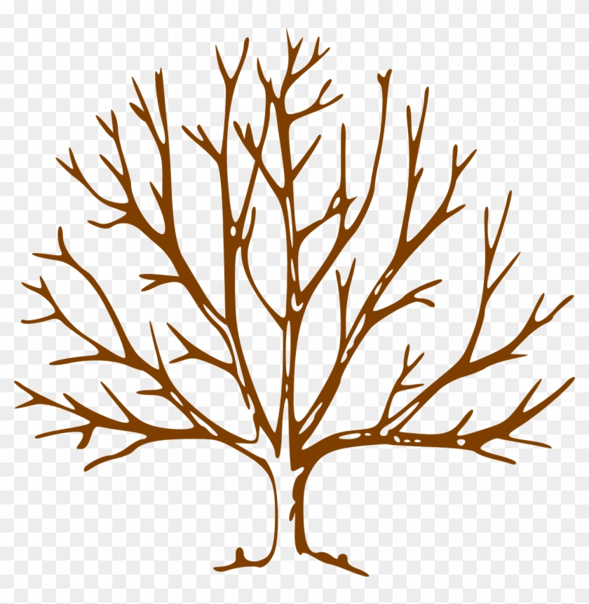 Leafless Denuded Nature Branch Free Photo From - Bare Tree Clipart - Png Download #328718