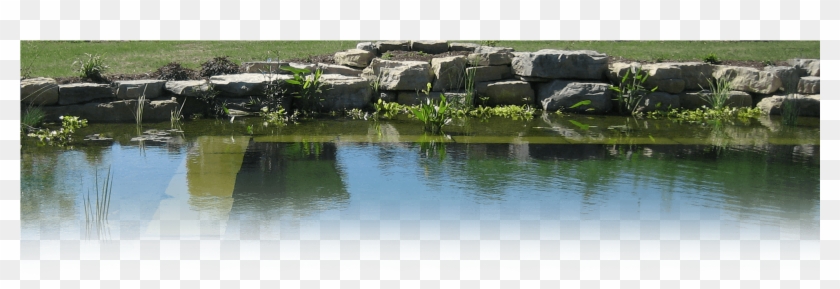 Home > Water Features > Natural Swimming Pools - Reflection Clipart #329422