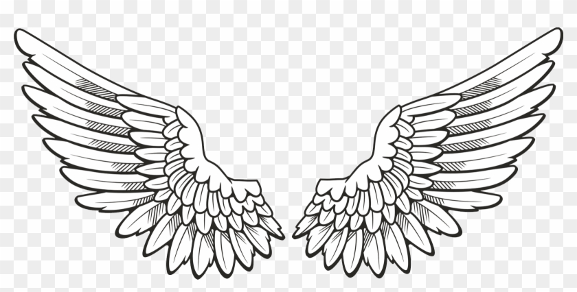 White Wings - Wings Drawing Clipart #329658
