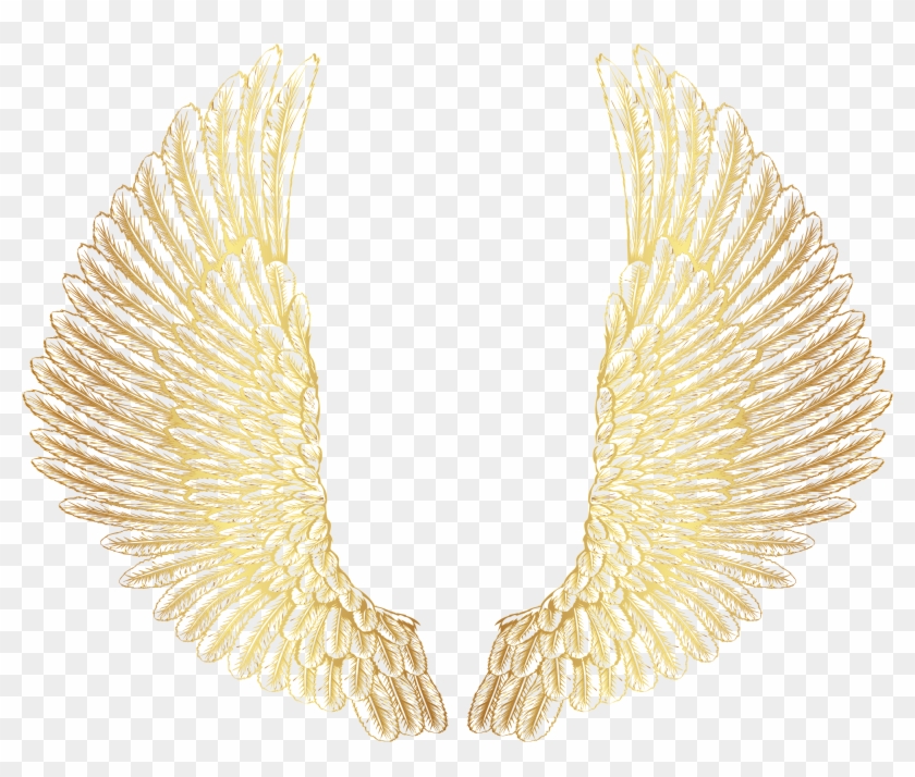 Gold Wings Png Clip Art Image - Wings Png Transparent Png