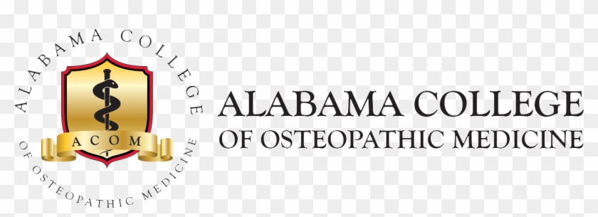 Partner Spotlight - Calligraphy Clipart