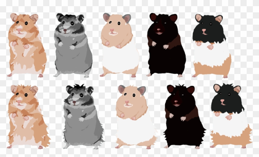 Hamster - 1 - Cartoon Clipart