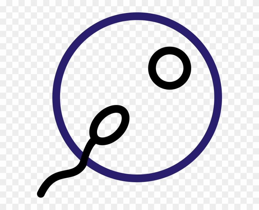 Icsi - Circle Clipart