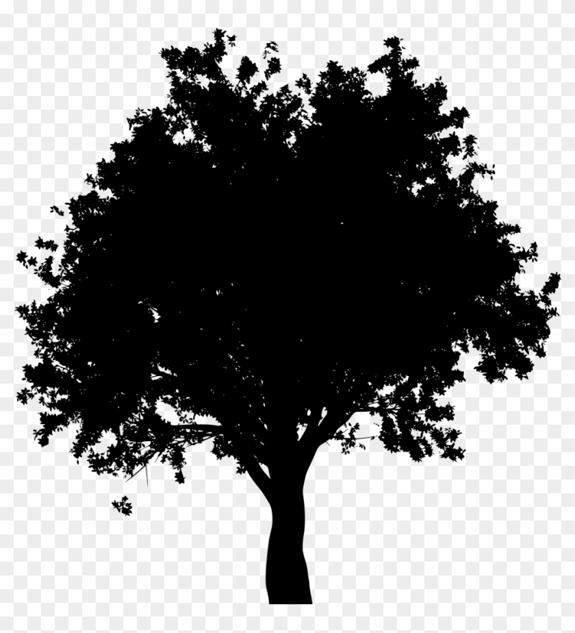 Download Png - Oak Tree Black And White Clipart #3203872