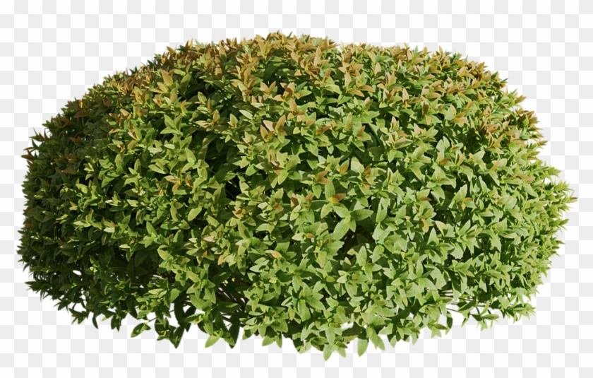 Previous - Next Clipart