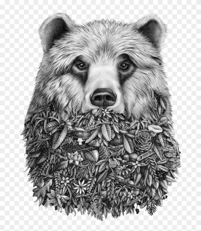 Grizzly Drawing Ink Clipart #3205023