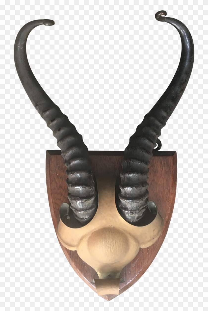 Viyet - Designer Furniture - Accessories - Vintage - Horn Clipart