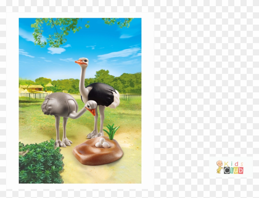 Nest Png Clipart #3205468