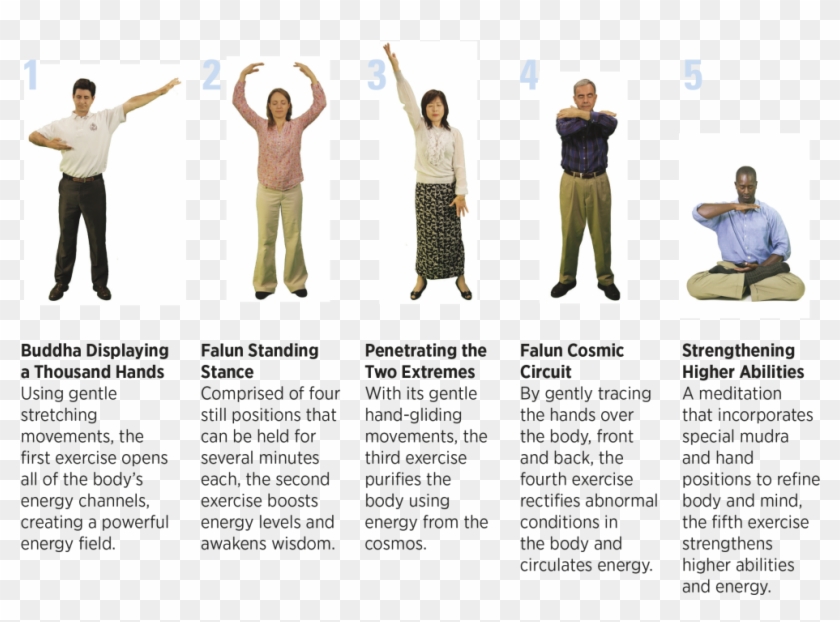 Many Of The Essential Truths Of Falun Dafa Were Taught - 法輪 大法 五 套 功 法 Clipart #3208194