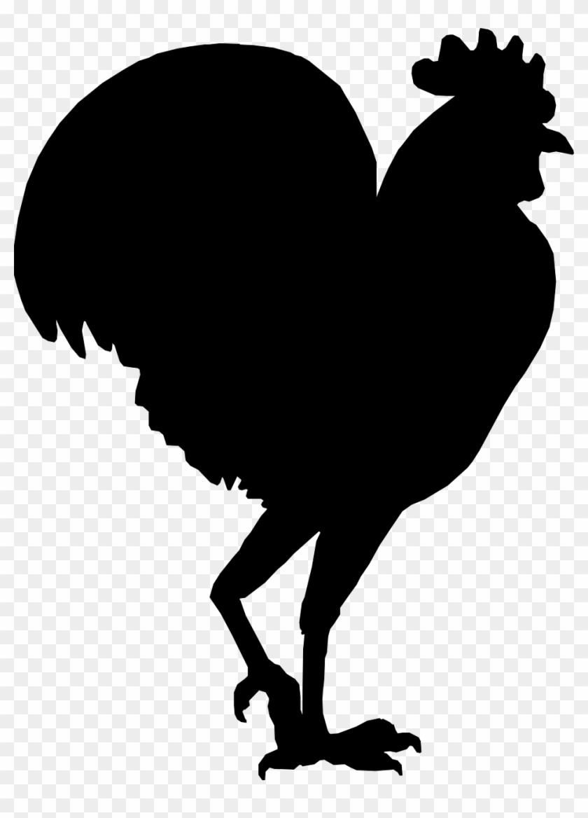 Rooster Cock Hammer Farm Png Image - Frango Transparente No Fundo Clipart #3208417