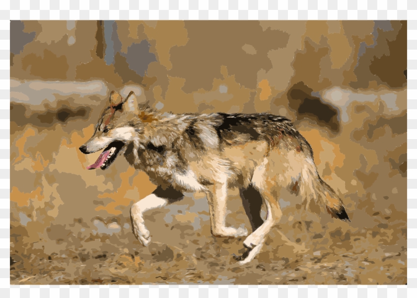 This Free Icons Png Design Of Mexican Wolf 2 Yfb-edit - Mexican Gray Wolf Clipart #3209455