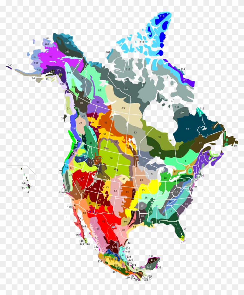 Terrestrial Ecoregions Of North America - Canada Alternate History Clipart #3209963