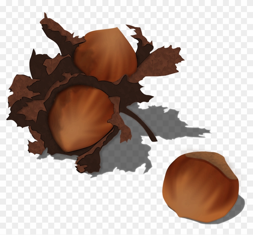 Acorn Clipart Hazelnut - Illustration - Png Download